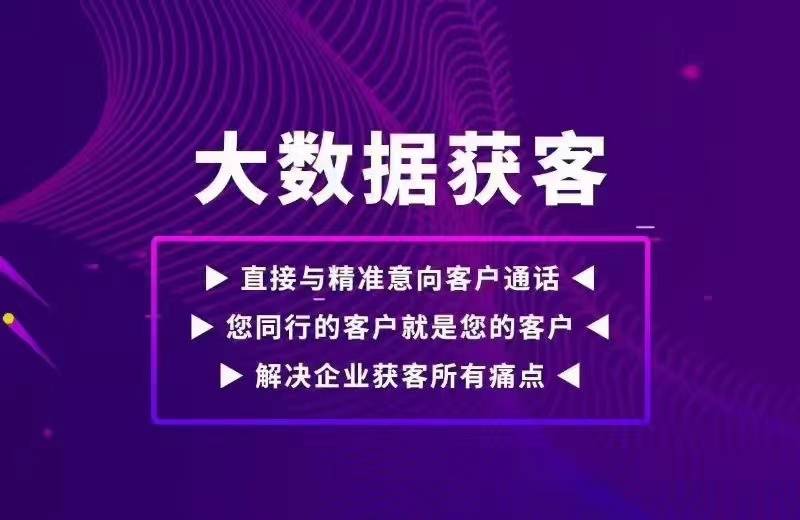 最准一肖，含义、贯彻与精准落实的全方位解读