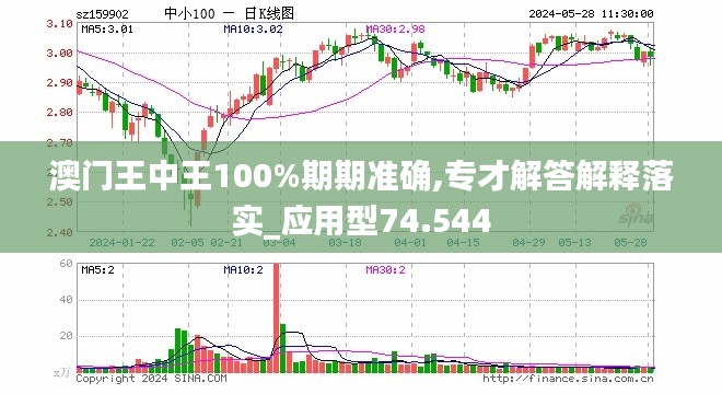 新澳门王中王期期中精选解析，揭秘与落实策略